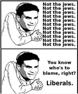 shapiro idiot