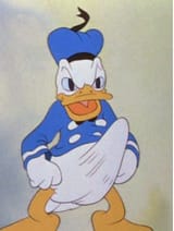 kościej donald