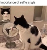 GvqhLIVWgAE_UZb