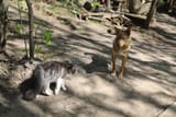 IMG_20250711_155423_429