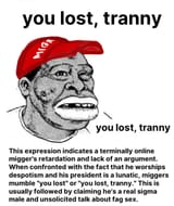 1747308431366895