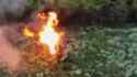 PYromancer_thumb.jpg