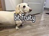 bit fruity