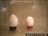 microwave-eggs