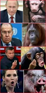 monkecountry