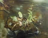 Karl Hermann Willy Kriegel (Dresden, Kingdom of Saxony, German Reich 1901-1966 Starnberg, Oberbayern, Free State of Bavaria, F.R.G.) Pflanzen auf einem Stein im Wasser (Plants on a stone in the water) - Öl auf papier 1938