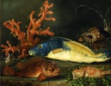 Cristóbal Vilella (Palma de Malloca, Province of Balearic Islands 1742-1803 ibid.) Sea life of fish and mollusks of Majorca 1 - oil on canvas