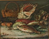 Cristóbal Vilella (Palma de Malloca, Province of Balearic Islands 1742-1803 ibid.) Sea life of fish and mollusks of Majorca 2 - oil on canvas