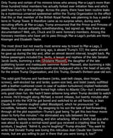 The new gilded age _ the New Yorker looks at the culture of -- David Remnick 2025-07-13_13-05-36-fs8