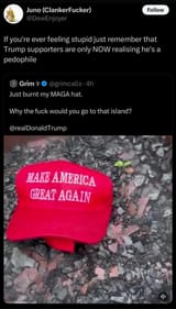 only-now-do-they-realize-he-is-a-pedophile-v0-n3sw6vht2ncf1
