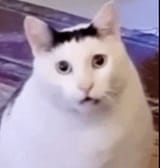 HUH