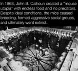 1752431629958