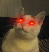 memed-io-output (4)
