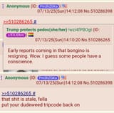 StellaDudeweed_13072025024035
