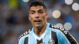 Suarez-Gremio