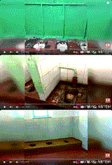 russian school toilets 2022