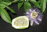 maypop