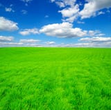 field-sky-clouds_87394-7345