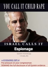 Disclose Epstein evidence