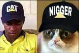 cat in hat