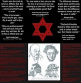 jew torah
