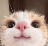VYlCAkJ