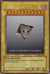 TEH_CEILING_CAT_CARD_by_HewieTheWhiteDog