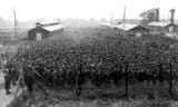 Nonant-le-Pin-pow-camp