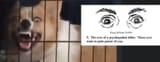 1746045447635925