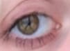cooneye