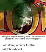 gonzo
