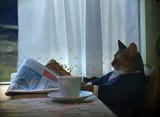 cat_newspaper