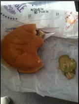 pickle_anyway