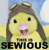 This is sewious