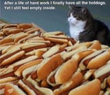 All-The-Hotdogs