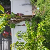 IMG_20250707_133307344