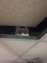 awoo peaking ceiling