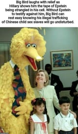 big bird and hillary