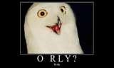 Orly