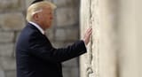 trump jew