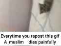 repost to kill muslims_thumb.jpg