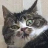 1682947406654609