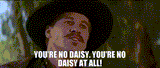 daisy