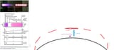 tubeplasma2