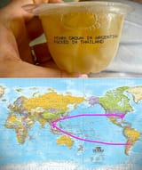 globohomo fruit working as intended