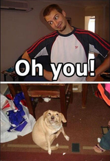 ohyou
