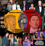 trumpandmuskarepedophiles