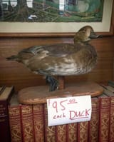 dux