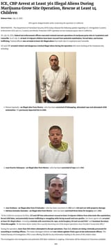 Screenshot 2025-07-14 at 00-16-47 ICE CBP Arrest at Lea[...]