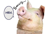 1741779510724456
